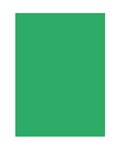 Bringmann 6354 - Papel de colores (130 gms, 50 hojas), color verde esmeralda