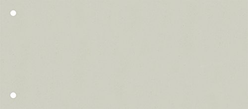 Brunnen 106604080 - Separadores (10,5 x 24 cm horizontal, cartón, perforados, 100 separadores), color gris