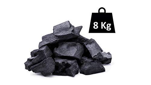 Horizón Forestal Carbón Vegetal de encina Natural 8kg Barbacoa