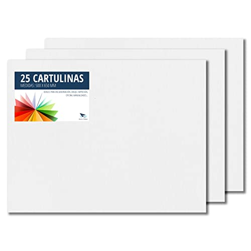 Raylu Paper® - Cartulinas 50x65cm, 25 Unidades, 180g/m². Cartulinas 50 x 65 cm de colores ideales para manualidades, oficina, dibujo, papiroflexia (Blanco)