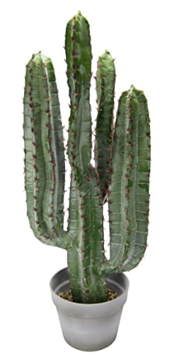 Flair Flower Cactus Artificial en Maceta, Planta de Interior de Cactus Artificial, Planta Verde, Consola, rubescens, Planta de Cactus Plana, Flor suculenta, Cactus Artificial Aloe Vera