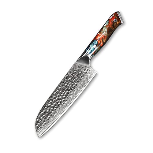 Cuchillo de cocina de 7 pulgadas Cuchillo Santoku VG10 Núcleo de acero 67 Capa Damasco Acero Sharp Chef El mango de resina de color