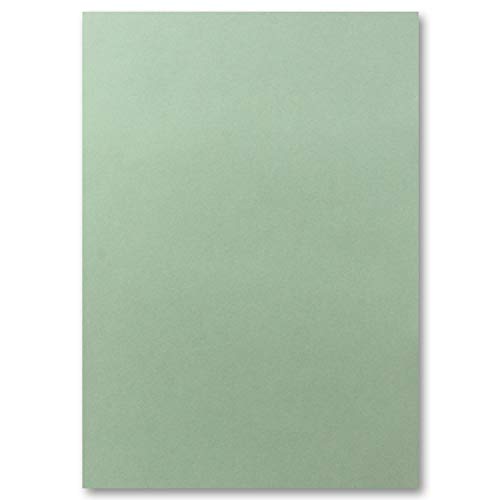 FarbenFroh - Lote de 25 hojas de papel DIN A4, 21 x 29,7 cm, eucalipto (verde), 240 g/m², 21 x 29,7 cm, papel para manualidades, cartulina gruesa