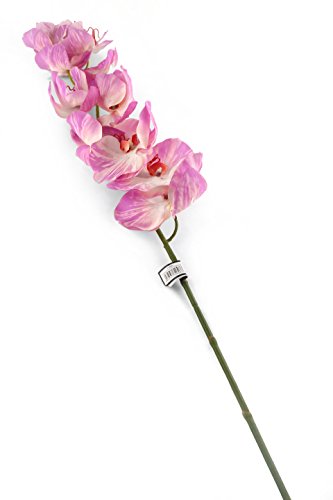 Floral Elegance Flores Artificiales de orquídea de Phalaenopsis de 109 cm, Color Lila