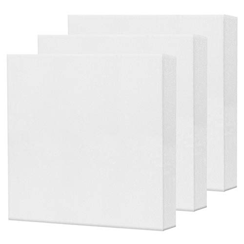 AvoDovA 3PCS Lienzos para Pintar, Lienzos Enmarcados, Artista Lienzo en Blanco para Pintura al óleo Acrílica, Lienzo Estirado Panel de Lona, Paneles de Lienzo para Pintar, Lienzo Bastidor (20 * 20cm)