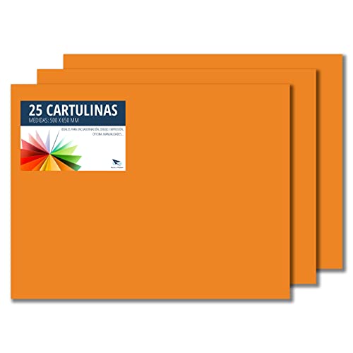 Raylu Paper® - Cartulinas 50x65cm, 25 Unidades, 180g/m². Cartulinas 50 x 65 cm de colores ideales para manualidades, oficina, dibujo, papiroflexia (Naranja)