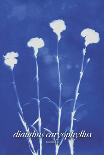 Libreta Bullet Journal. Diauthus Caryophyllus: Cubierta inspirada en las plantas del Mediterráneo con un bello Azul de Prusia. 100 páginas. 15,24 x 22,86 cm