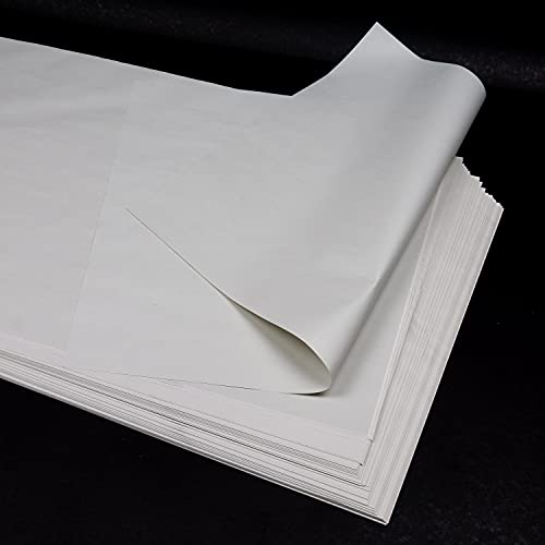 100 hojas (1 kg) Papel fino blanco 100% reciclado, 40x60 cm, para envolver regalos, proteger, mudanzas, manualidades, embalaje, relleno, (similar al papel de periódico), 40 g/m²