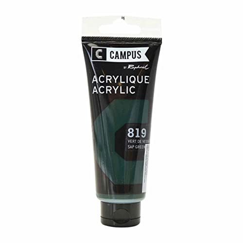 Campus Pintura acrílica 100 ml - Verde vejiga n°819