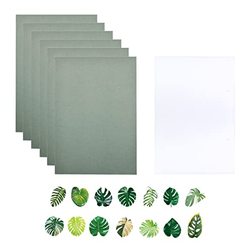 CRAFFANCY Kit de papel de impresión solar, 20 hojas de papel cianotipo con panel acrílico, hoja de árbol de alta sensibilidad, papel de dibujo solar para manualidades, proyectos de arte