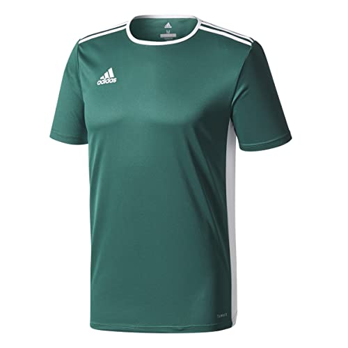 adidas Entrada 95 Camiseta de Manga Corta, Hombre, Verde (Collegiate Green/White), S