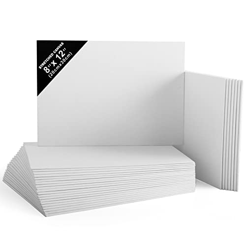 Belle Vous Pack de 28 Lienzos para Pintar en Blanco 20 x 30 cm - Set Panel de Lienzo Preestirado - Aptos para Pintura Acrílica y al Óleo - Lienzo Blanco para Bocetos y Dibujos