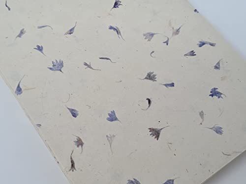 Lokta - Papel A5 hecho a mano, tamaño A5, 20 hojas, papel hecho a mano nepalí, papel artesanal, papel ecológico (Blue Petal Lokta A5-20 piezas)