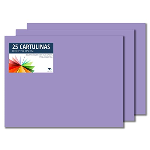 Raylu Paper® - Cartulinas 50x65cm, 25 Unidades, 180g/m². Cartulinas 50 x 65 cm de colores ideales para manualidades, oficina, dibujo, papiroflexia (Violeta)