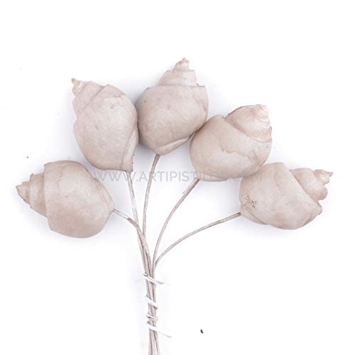 Artipistilos® Caracola Lisa De Porcelana Fría 2 X 1,5 Cm - Nude - Flores De Porcelana