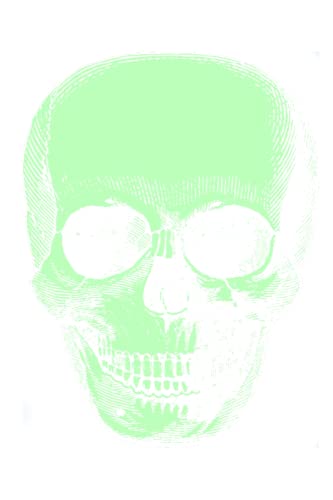 Pastel Green Skull Journal