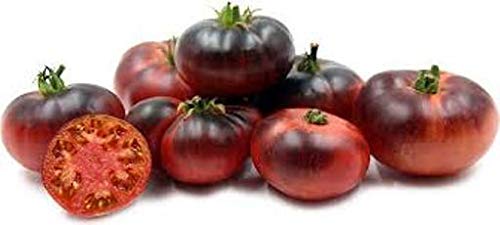 Portal Cool Tomate Indigo, azul, dulce, semillas semi, semi 30, tomate