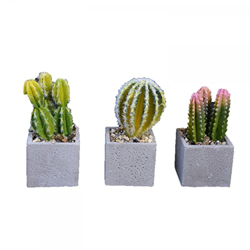 Planta de Cactus Artificial hiperrealista con Maceta de Piedra Natural en Set de 2 Estilo Natural. - Hogar y más