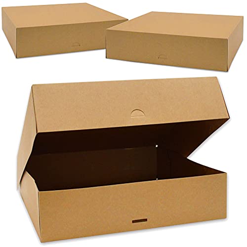 SCRAP COOKING 5501 - Lote de 2 cajas para tartas, de papel kraft alimentario y reciclable - 32 x 32 x 8 cm - para transportar dulces, postres, tartas, pizzas - Fabricación realizada en Francia
