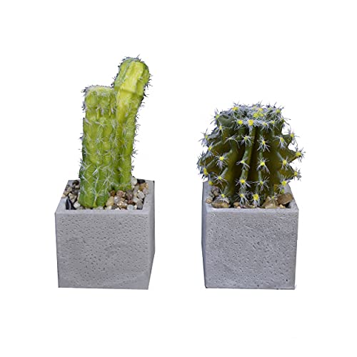 Planta de Cactus Artificial hiperrealista con Maceta de Piedra Natural en Set de 2 Estilo Natural. - Hogar y más
