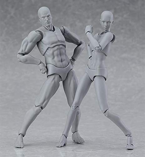 Maniquíes de pintura móvil de Avicir Artists' Manikins muñeca obligatoria para dibujar figura de acción modelo gris, conjunto de maniquí humano hombre y mujer (macho+hembra)