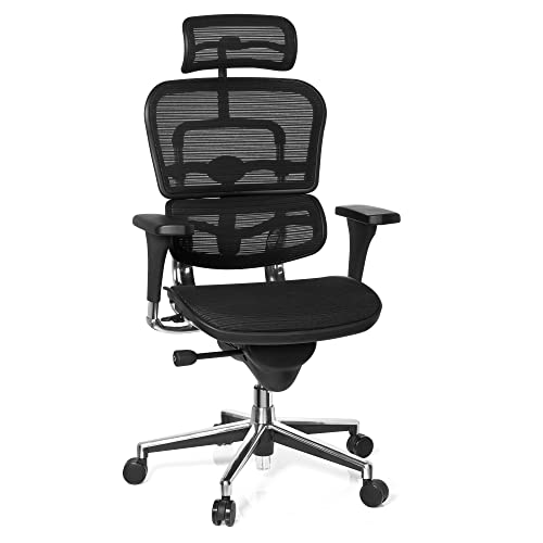 hjh OFFICE 652980 Silla de Oficina ERGOHUMAN Base One Tejido de Malla Negro, sólido Aluminio Pulido, ergonómico, sillón Alta Gama