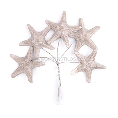 Artipistilos® Estrella De Mar De Porcelana Fría 3,5 Cm - Nude - Flores De Porcelana
