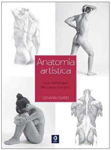 GUÍA ESENCIAL DEL DIBUJO ANATOMÍA ARTÍSTICA (SIN COLECCION)