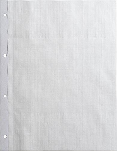Brunnen 1061610 - Hojas para álbum de fotos (lisas, 23 x 29,7 cm, 10 unidades), color blanco