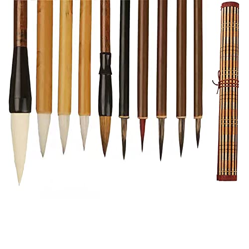 AOMAYLL Pinceles chinos caligrafía profesional,Pincel de escritura,con dibujo para escribir,Un juego de 10 pinceles(con bolsa de pinceles)