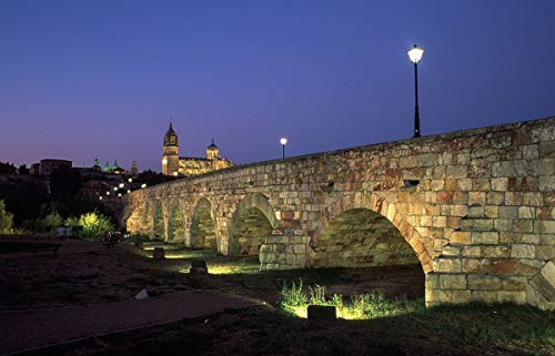 Fotografía para decorar/Obra firmada por el autor/Puente romano. Salamanca. Castilla y León. España © Javier Prieto Gallego