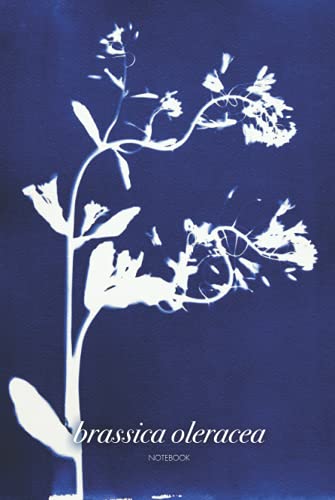 Libreta Bullet Journal. Brassica Oleracea: Cubierta inspirada en las plantas y árboles del Mediterráneo con cianotipos de un bello Azul de Prusia. 100 páginas. 15,24 x 22,86 cm