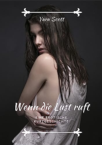 Wenn die Lust ruft: Eine erotische Kurzgeschichte (German Edition)