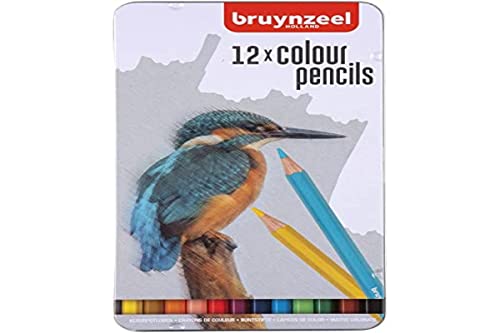 Bruynzeel Juego de 12 lápices de colores para pájaros, en lata