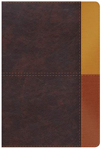 RVR 1960 Biblia de Estudio Arcoiris, gris pizarra/oliva sími: Reina-Valera 1960, cocoa/terracota símil piel: tradicional & verdadera