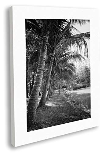 Artesta Cuadro en lienzo Coastal palm trees (40x50)