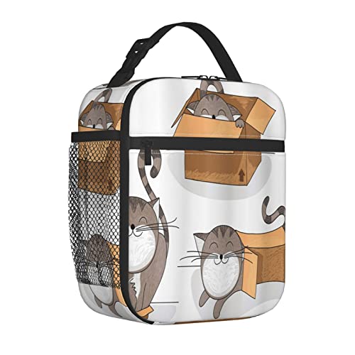 Bolsa de almuerzo portátil para mujeres/hombres con aislamiento,gato de dibujos animados que intenta adaptarse a cajas de cartón de diferentes tamaños domésticas C,caja de almuerzo reutilizable