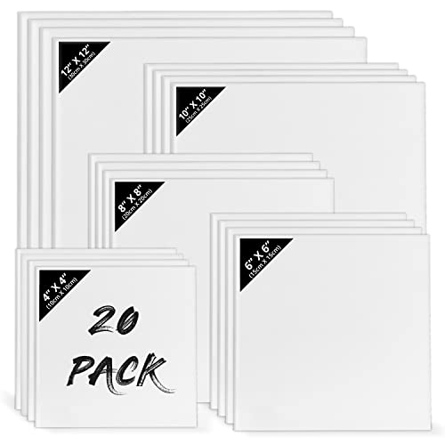 Belle Vous Pack de 20 Lienzos para Pintar en Blanco - 5 Tamaños Variados - Set de Paneles de Lienzo Preestirados para Pintura Acrílica y al Óleo - Use Este Set de Lienzos para Bocetos y Dibujos