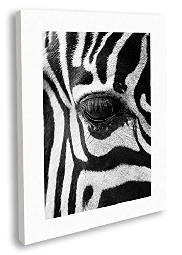 Artesta Cuadro en lienzo Zebra focus (70x100)