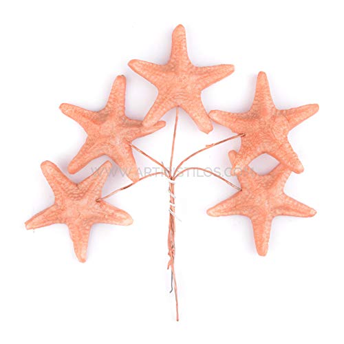 Artipistilos® Estrella De Mar De Porcelana Fría 3,5 Cm - Coral - Flores De Porcelana
