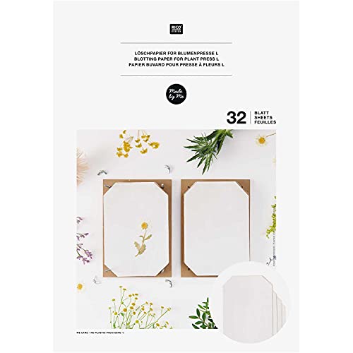Rico Design Recambio de papel secante para prensa de flores y plantas (19,7 x 28,4 cm)