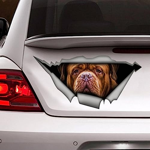 2Pcs Decalcomania Per Auto, Decalcomania Per Animali Domestici, Decalcomania Per Cani, Adesivo, Decalcomania Divertente, Decalcomania Per Laptop, Adesivo 3D Decal Personalizzata In Metallo Strappato,3