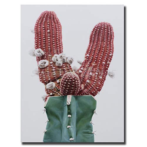HYFBH Impresionante Arte de Pared de Cactus hiperrealista Lienzo nórdico Carteles Impresiones Pintura Cuadros de Pared de Sala de Estar decoración del hogar-50x70 cm con Marco