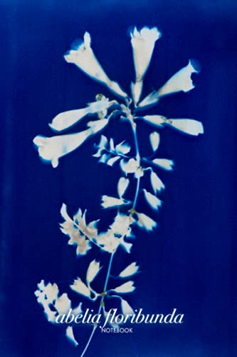 Libreta Bullet Journal. Abelia Floribunda: Cubierta inspirada en las plantas y árboles del Mediterráneo con cianotipos de un bello Azul de Prusia. 100 páginas. 5,24 x 22,86 cm
