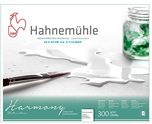 Hahnemühle Harmony - Cartulina para acuarela (satinada, 300 g/m², 24 x 30 cm, 12 hojas)