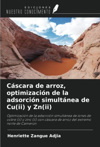 Cáscara de arroz, optimización de la adsorción simultánea de Cu(ii) y Zn(ii): Optimización de la adsorción simultánea de iones de cobre (ii) y zinc ... cáscara de arroz del extremo norte de Camerún