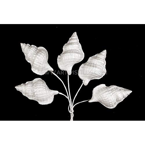 Artipistilos® Caracola De Porcelana Fría 2,9 X 1,8 Cm - Blanco - Flores De Porcelana