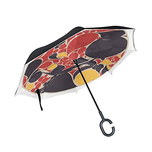 MONTOJ - Paraguas de Doble Capa con Forma de C para Dibujo, Estilo Oriental, a Prueba de Viento, Plegable, a Prueba de Rayos UV, invertido con asa y Paraguas de Viaje