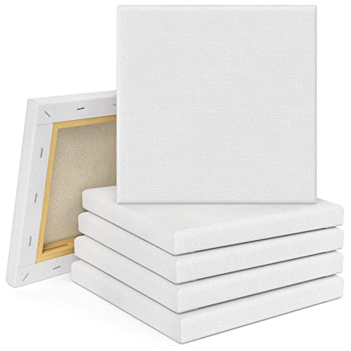 Tebery Akademie - Bastidor de lienzo (10 unidades, 20 x 20 cm, 100 % algodón), color blanco