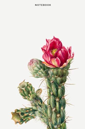 Cactus Flower: vintage notebook Blank Lined
